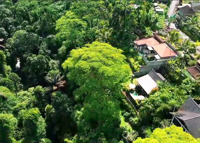 Aka Valley * Ubud